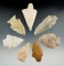 Set of seven Missouri/Illinois arrowheads, largest is 3