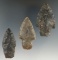 Set of three Coshocton Flint Adena points found in Ohio, largest is 2 5/16