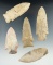 Set of five assorted Missouri points, largest is 3 1/8