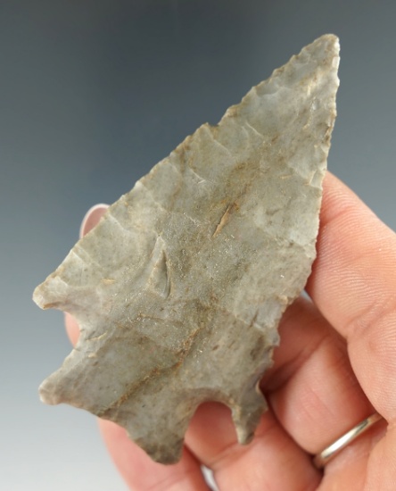 3 1/16" Archaic beveled Knife made from Attica chert found near Wilshire Ohio.