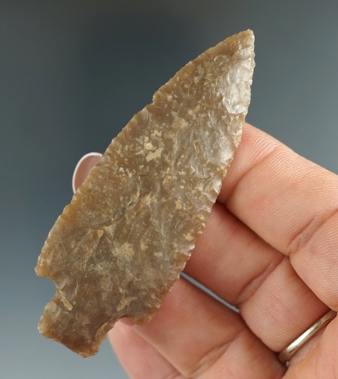 2 13/16" well styled Darl point found in Bastrop Co., Texas. Comes with a Roger COA.