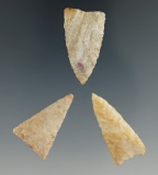 Set of three nicely made Mississippian triangle points found in Indiana. Largest is 1 3/16