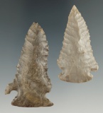 Pair of Pinetree points found in Kentucky, largest is 2 1/4