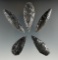 Five Cascade Leaf Blades made from Obsidian. Longest is 2 1/2