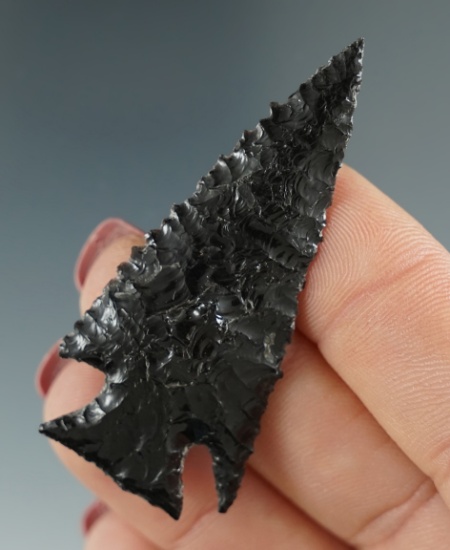 2 1/16" Elko Cornernotch, thin and serrated - Obsidian. Found in the Great Basin, OR. Pictured!