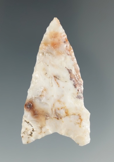 1 7/8" Mule Ear Knife made from white and brown Agate. Found near the Columbia River, OR.