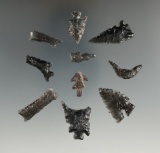 Ten Exotic Obsidian pieces, longest is 1 1/2