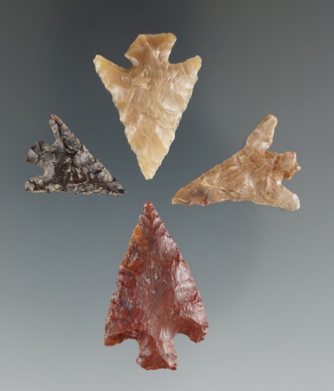 Set of four Columbia Plateau points found near the Columbia River, Vantage Washington.