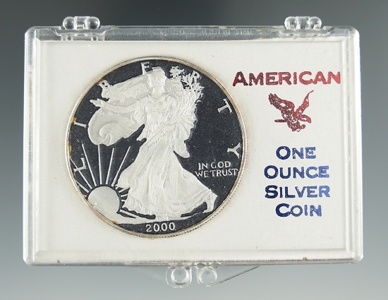 2000 Colorized Silver Eagle