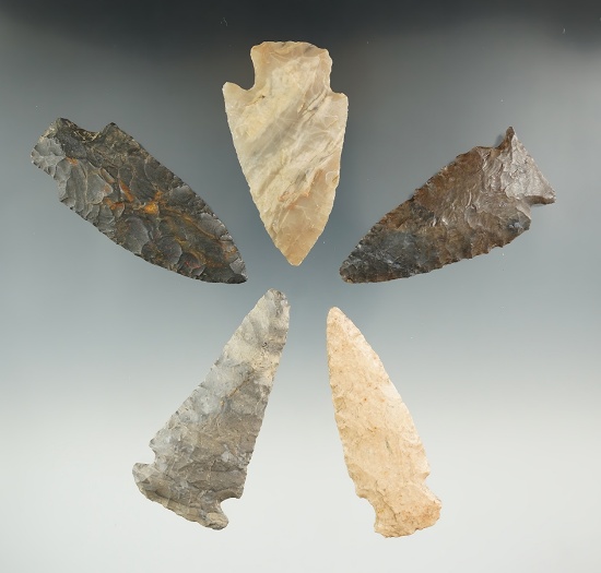 Five nice Midwestern arrowheads, largest is 2 13/16".