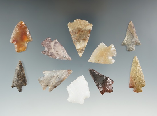 Group of 10 assorted arrowheads found near the Columbia River, largest is 1 1/4".