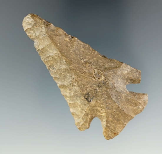 2 1/2" Archaic Bevel Coshocton Flint found in Coshocton Co., Ohio. Ex. Buck Collection.