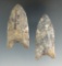 Pair of Coshocton Flint Paleo Clovis Points found in Ohio. Largest is 2 1/4