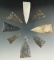 Group of 8 triangle points found at the Fox Field site in Mason County Kentucky. Largest is 2 3/16