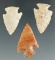 Set of 3 Flint Ridge Birdpoints, largest is 1 1/8