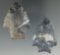 Pair of Coshocton Flint transitional points, largest is 1 7/8