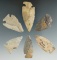 Set of six Intrusive Mound points found in Ohio and Indiana. Largest is 1 3/16