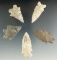 Group of five bifurcate points found in Ohio, largest is 1 11/16