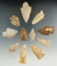 Group of 11 flaked artifacts made from petrified wood found in Texas and Louisiana.