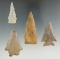 Set of four well styled arrowheads found in Kentucky. Largest is 2 5/8