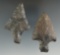 Pair of Coshocton Flint Ashtabula points found in Ohio, largest is 2 13/16