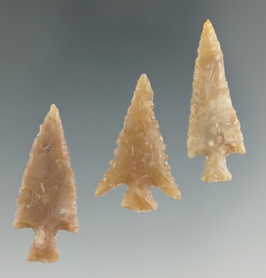 Excellent group! Set of three beautifully made Texas arrow points, largest is 1 1/4".