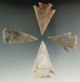 Set of four nice Texas arrowheads, largest is 2 3/8