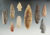 Group of nine assorted points and knives made from petrified wood found in the Southwest U. S.