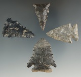 Set of four well styled points found in Kentucky, largest is 1 13/16