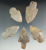 Set of five assorted Adena points found in Ohio, largest is 2 11/16