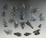 Group of 20 Birdpoints made from Upper Mercer Flint. Found in Shreve Swamp, Wayne Co., Ohio.