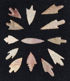Group of 13 African Neolithic arrowheads found in the northern Sahara desert region.