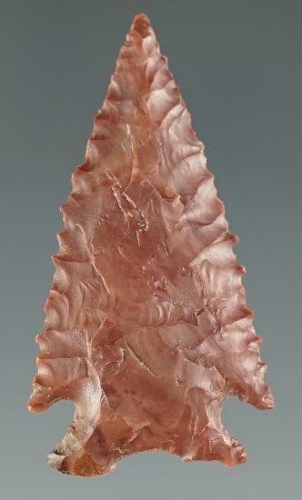1 3/8" Snake River with fine serrations made from red Jasper. Found near the Columbia River, Oregon.