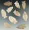 Set of 10 assorted points found in Hillsdale Co., Michigan, largest is 2 1/8
