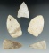 Set of five Triangular Knives/Points found in the Midwest. Largest is 2 3/16