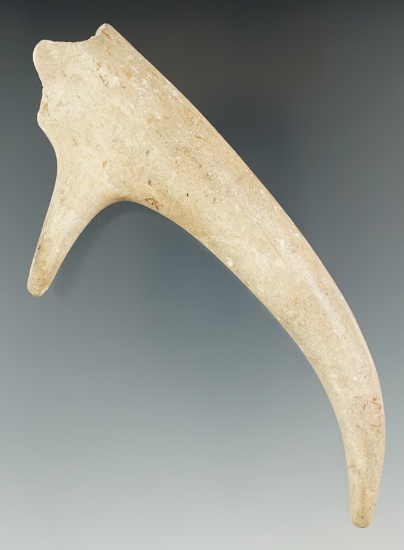 5 7/16" Deer antler Knapping tool found near the Crib Mound, Spencer Co., IN. Ex. Chalmer Lynch