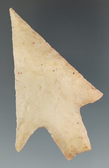 2 13/16" Pedernales made from tan Chert, found in McLennan Co., Texas.  Rogers COA.