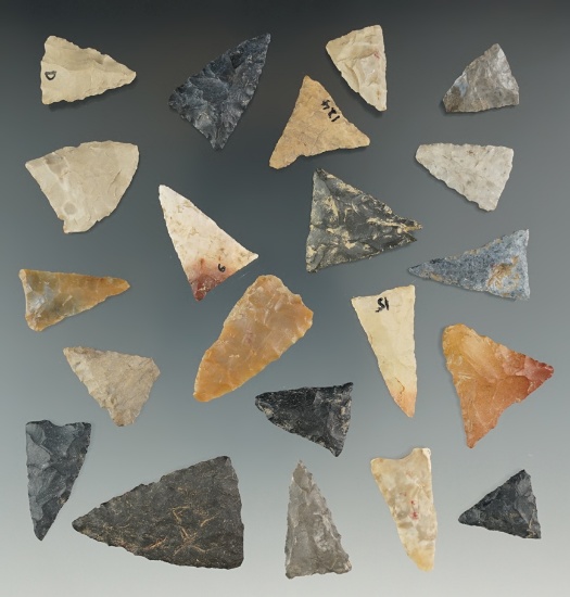 Group of 21 Triangle Points, largest is 1 1/2". All were found in Greene Township, Galleria Co., OH