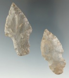Pair of unique Notched Stem Dart Points found at the Crib Mound by Bob Champion. Hornstone.