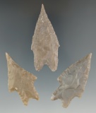 Set of three Pedernales Points found in Texas, largest is 2 11/16