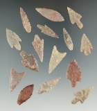 Set of 15 African Neolithic Points found in the northern Sahara desert region, largest is 1 3/8