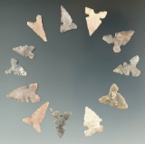 Set of 12 Toyah Points found in Texas, largest is 7/8
