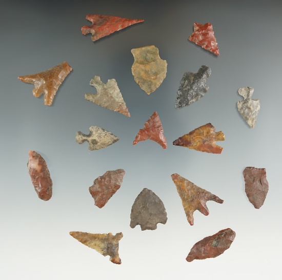 Group of 17 assorted points found in New Mexico and Oregon. Largest is 1 1/4".