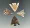 Set of four very nice Columbia Plateau points found near Vintage Washington.  Largest is 7/8