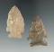 Pair of Cornernotch Points found in Ohio, largest is 1 13/16