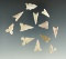 Group of 12 assorted Texas arrowheads, largest is 7/8