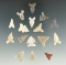 Set of 16 assorted Texas arrowheads, largest is 3/4