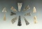 Set of 12 Mississippian period Madison Triangle Points found in Gallia Co., Ohio, near Cheshire