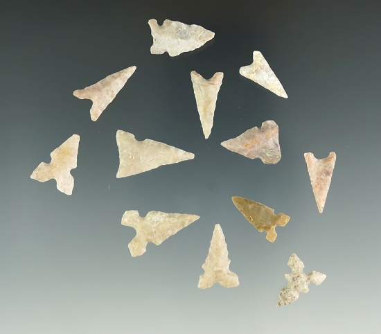 Group of 12 assorted Texas arrowheads, largest is 7/8".