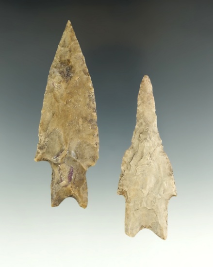 Ex. Museum! Pair of Pedernales points, one is a drill form. Largest is 3 5/8".